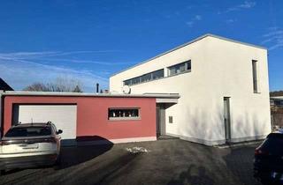 Villa kaufen in 38518 Gifhorn, Moderne Stadtvilla im Westen von Gifhorn