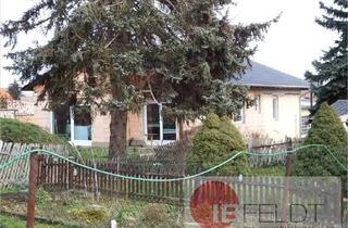 Einfamilienhaus kaufen in 06295 Lutherstadt Eisleben, Einfamilienhaus zum Fertigstellen mit großem Garten und zwei Nebengelassen