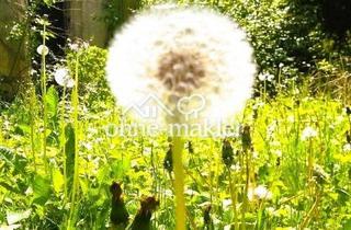 Haus mieten in 88239 Wangen, Einfamilienhaus an caritative, gemeinnützige Einrichtung (z.B. Wohngruppen) zu vermieten