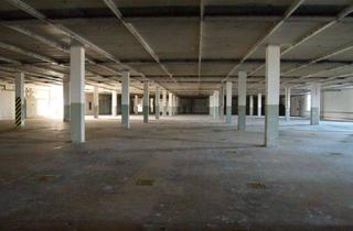 Geschäftslokal mieten in 95028 Hof, Für Einzelhandel, Lager und mehr: großzügige innerstädtische Hallenfläche (ca. 1.900 m²) - barrierefrei & teilbar