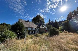 Haus mieten in 09623 Rechenberg-Bienenmühle, EFH Clausnitz - Rechenberg Bienenmühle mit großem Grundstück und Garage / SP