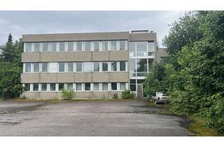 Gewerbeimmobilie kaufen in 72250 Freudenstadt, Gewerbeareal im sanierungsbedürftigen Zustand