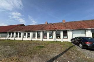 Gewerbeimmobilie kaufen in 03253 Doberlug-Kirchhain, Großzügiges Gewerbegrundstück mit Verkaufs- und Lagergebäude