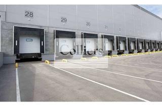 Gewerbeimmobilie mieten in 68775 Ketsch, Logistikflächen nahe der A6