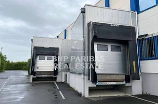 Gewerbeimmobilie mieten in 97337 Dettelbach, Logistikflächen mit Kühl- und TK-Bereichen * Provisionsfrei