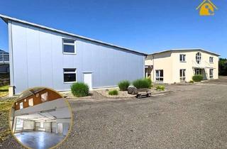 Gewerbeimmobilie mieten in 89597 Munderkingen, Produktions-/Lagergebäude mit vielseitigen Nutzungsmöglichkeiten im Industriegebiet