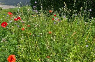 Grundstück zu kaufen in 18196 Dummerstorf, Wohnen direkt in Dummerstorf