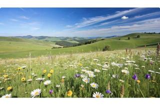 Grundstück zu kaufen in 38442 Fallersleben, *** WOLFSBURG - FALLERSLEBEN *** Das letzte Baugrundstück in bester Lage!!! BAUTRÄGERFREI !!!