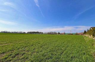 Grundstück zu kaufen in 84100 Niederaichbach, Weitläufiges Grundstück zur Kapitalanlage oder Projektentwicklung!