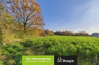 Grundstück zu kaufen in 41849 Wassenberg, Sonne garantiert! Der perfekte Platz für Dein Traumhaus!