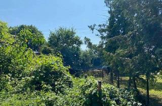 Grundstück zu kaufen in 13059 Wartenberg, Grundstück für Einfamilienhaus in Wartenberg