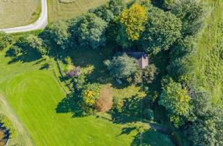 Immobilie kaufen in 82401 Rottenbuch, Idyllisches Freizeitgrundstück mit genehmigtem Bienenhaus in ruhiger Alleinlage bei Rottenbuch