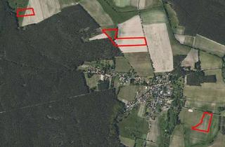Gewerbeimmobilie kaufen in 15913 Neu Zauche, Ackerfläche (ca. 9ha) in Spreewaldnähe zum Verpachten