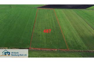 Gewerbeimmobilie kaufen in 86666 Burgheim, Verkauf einer landwirtschaftlichen Grünfläche im Bieterverfahren!