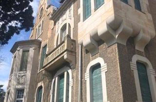 Anlageobjekt in 08523 Plauen, Objekt-Nr.: 14325 - Schöne Kulturdenkmal-Villa mit vielen historischen Verzierungen auf parkähnlichem Grundstück in Plauen