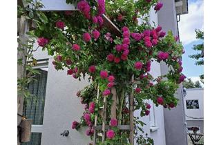 Wohnung mieten in 72141 Walddorfhäslach, Wohnung zu vermieten 3,5 Zimmer in 72141 Walddorfhäslach