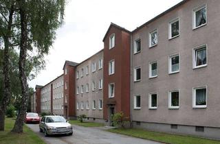 Wohnung mieten in Sanderstr. 154, 42283 Barmen, kleine 3-Zimmer-Wohnung in Barmen