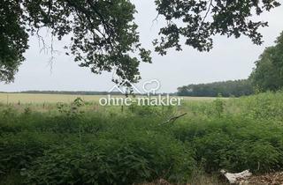 Grundstück zu kaufen in 15732 Schulzendorf, Preisreduzierung - 19700 m² - Kapitalanlage m² - Preis 8,63 €