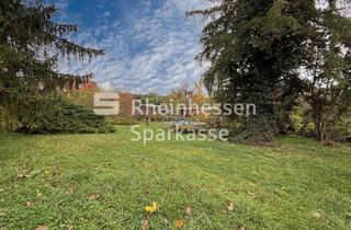 Haus kaufen in 67585 Dorn-Dürkheim, Ländlicher Wohntraum mit Scheune und großem Grundstück!