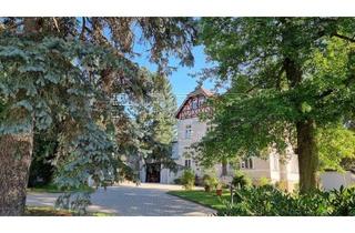 Villa kaufen in 09661 Hainichen, Liebevoll sanierte Villa (Mehrfamilienhaus) in Hainichen