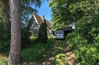 Haus kaufen in 24976 Handewitt, Traumhaftes Nurdachhaus mit besonderem Wohngefühl - Ihr Zuhause zum Wohlfühlen!