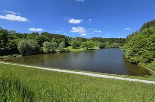Haus kaufen in 73642 Welzheim, Sensationelle Aussichtslage