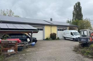 Gewerbeimmobilie kaufen in 56220 Bassenheim, Gepflegte Lagerhalle mit Bürotrakt, Solar und Carport im Industriegebiet Bassenheim