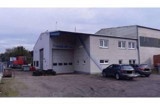 Büro zu mieten in 47608 Geldern, +++Produktions-, Lager- oder Montagehalle mit Kran, Montagegrube und Bürofläche+++Provisionsfrei