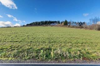 Grundstück zu kaufen in 56841 Traben-Trarbach, Dort wohnen, wo andere Urlaub machen!