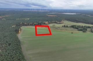 Grundstück zu kaufen in 15913 Caminchen, Ackerfläche (ca. 9ha) in Spreewaldnähe zum Verpachten