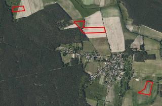 Grundstück zu kaufen in 15913 Caminchen, Ackerfläche (ca. 9ha) in Spreewaldnähe zum Verpachten