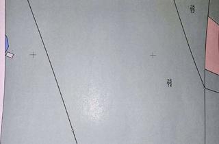 Gewerbeimmobilie kaufen in In Den Bergen, 49453 Rehden, Laub- und Nadelholz