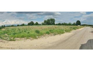 Haus kaufen in 28857 Syke, Syke - 2x Grundstück mit Feldblick im Neubaugebiet in Bruchhausen-Vilsen