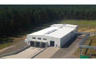 Gewerbeimmobilie mieten in 31595 Steyerberg, Steyerberg - Interessante neuwertige Halle in einem überwachten Industriegebiet für den höchsten Anspruch