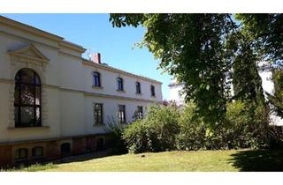 Haus kaufen in 04720 Döbeln, Döbeln - Geschäftshaus in bester Lage-zentral und im Grünenprovisionsfrei