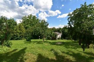 Haus kaufen in 79793 Wutöschingen, Wutöschingen - Haus & ELW & Bauplatz in Horheim gewünscht?