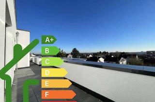 Penthouse kaufen in 66953 Pirmasens, Penthouse-Wohnung mit Blick über Pirmasens - Neubau-KfW-förderfähig