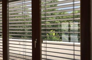 Wohnung mieten in Riesenmühlgasse 20C, 67549 Hochheim, Appartment im Tonnendach mit Dachterrasse