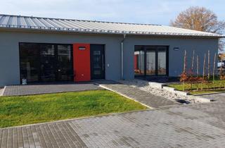 Wohnung mieten in Erich-Weinert-Str., 04651 Bad Lausick, Moderne 2-Raum-Wohnung auf traumhaft grünem Grundstück!