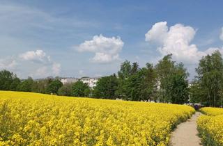 Wohnung mieten in Mendelejewstraße 37, 09599 Freiberg, 2 Zimmer zum Glück!