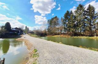 Gewerbeimmobilie kaufen in 53804 Much, Idyllisches Naturparadies mit Angelteichen und Gastronomie