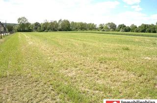 Haus kaufen in 31737 Rinteln, Gepflegter Resthof mit Stall, Scheune und Panoramablick über Wiesen und Felder