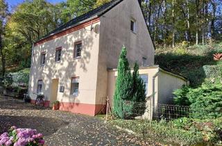 Einfamilienhaus kaufen in 54597 Pronsfeld, Charmantes Einfamilienhaus in idyllischer Waldrandlage ...
