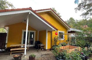 Haus kaufen in 29392 Wesendorf, RUHIG, NATÜRLICH, ZUHAUSE: Charmanter Bungalow in Waldrandlage von Wesendorf.