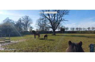 Bauernhaus kaufen in 41812 Erkelenz, Vierkant Bauernhof mit Reithalle 280 m², 15 Pferde Boxen und ca. 8664m² Grundstück