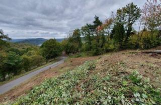 Grundstück zu kaufen in 56861 Reil, Traumlage an der Mosel! Baugrundstück mit Blick auf Marienburg und Weinberge