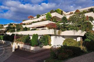 Haus mieten in Tahlmühle, 61381 Friedrichsdorf, RAUMRIESE MIT RIESENTERRASSE UND SAUNA - elegante Terrassenwohnung