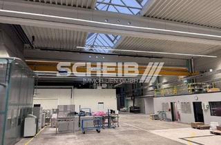 Gewerbeimmobilie kaufen in 74523 Schwäbisch Hall, Produktionsstätte zu verkaufen! Hallen, Büros, Sozialräume und großes Grundstück