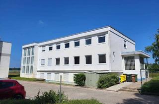 Büro zu mieten in 68623 Lampertheim, Repräsentative Bürofläche mit 2200m² Außenfläche und Halle _ individuell teilbar!