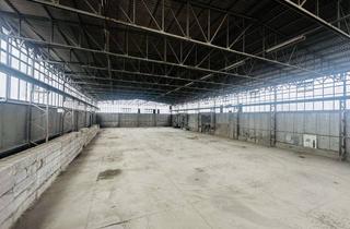 Gewerbeimmobilie mieten in Wackenbergstraße 65-75, 13156 Niederschönhausen, Berlin-Pankow: Flexible Industriehalle – 1.459 m² + BImSchG-Genehmigung